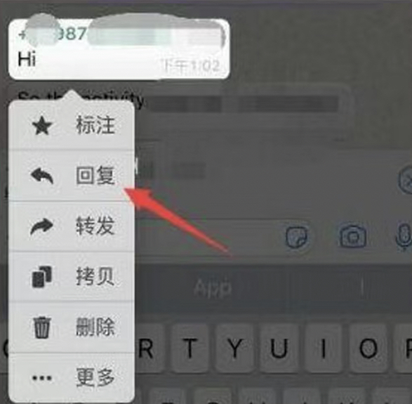 WhatsApp国际版本