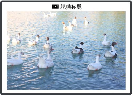 和平精英 刺激战场 信号机制_玩吃鸡电脑自动重启