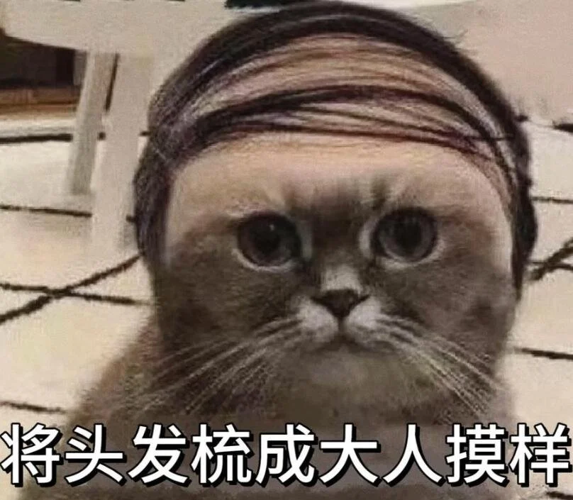 图 (8).jpg