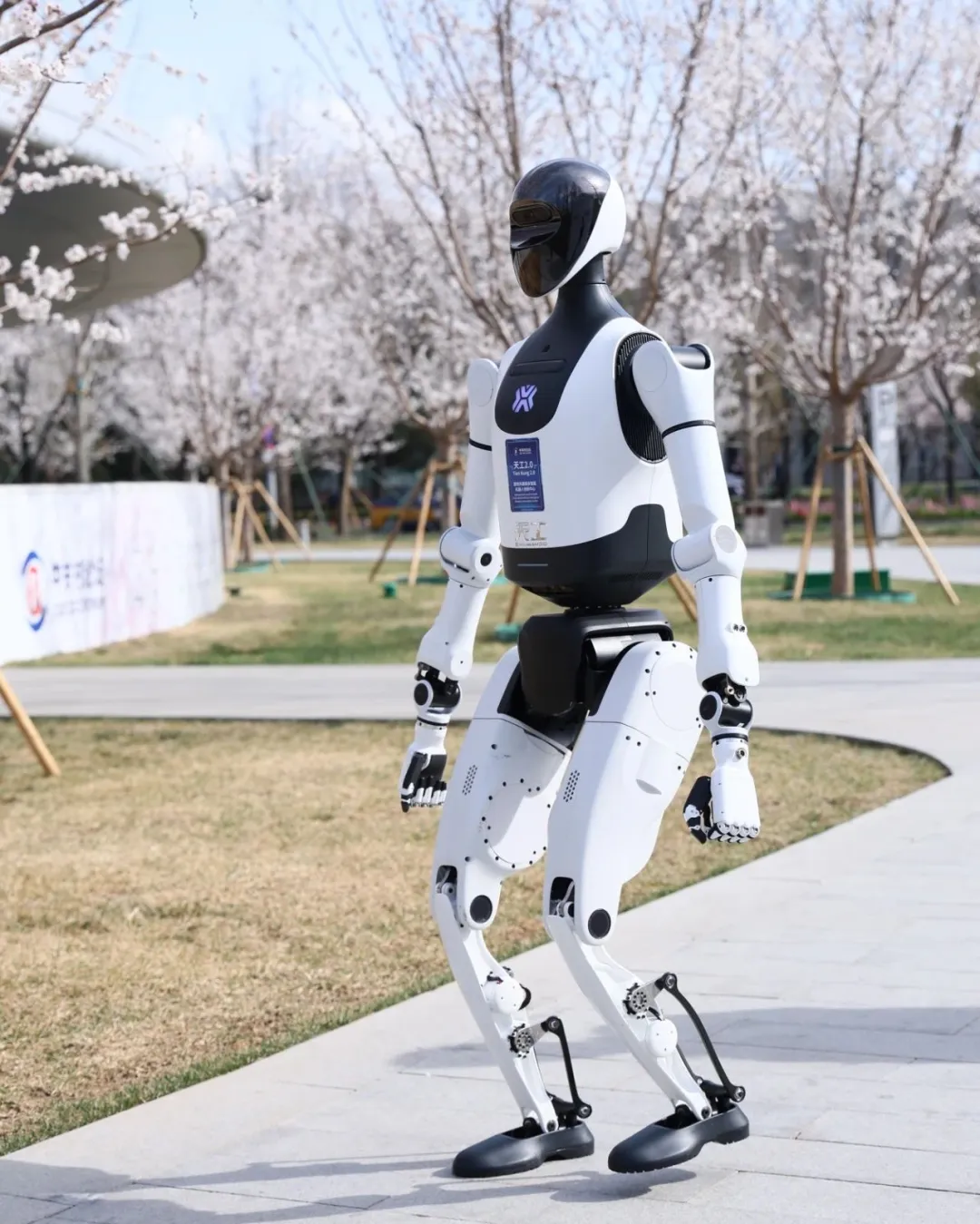 天工2.0人形机器人亮相具身智能技术_2025中关村论坛年会在北京举办_2025有关机器人的新闻