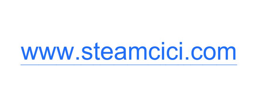 steam游戏打折网站_steam游戏低价购买平台_什么平台的游戏都是官方版的