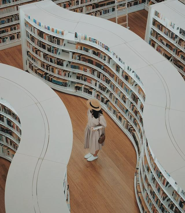 Z-Library 影子图书馆 盗版电子书_可以下载电子书的网站