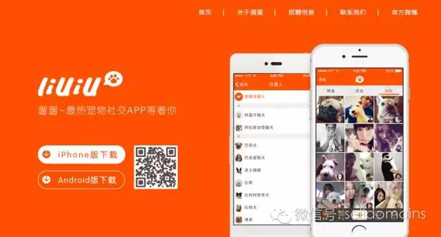 宠物网站排名_宠物域名选择_狗民网东西是正品吗