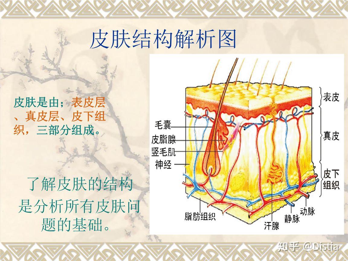 刷酸攻略_刷关键词快速排名软件_刷酸方法
