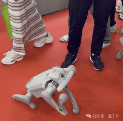 自动提号机器人系统_机器人全场景覆盖_2025世界机器人大会