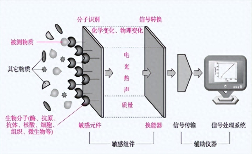 生物传感器结构工作原理_敏感元件固定化技术_传感器按输出信号分类
