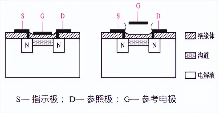 生物传感器结构工作原理_传感器按输出信号分类_敏感元件固定化技术