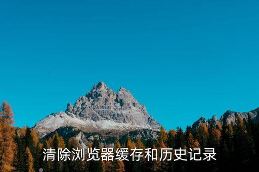 清除浏览器缓存和历史记录