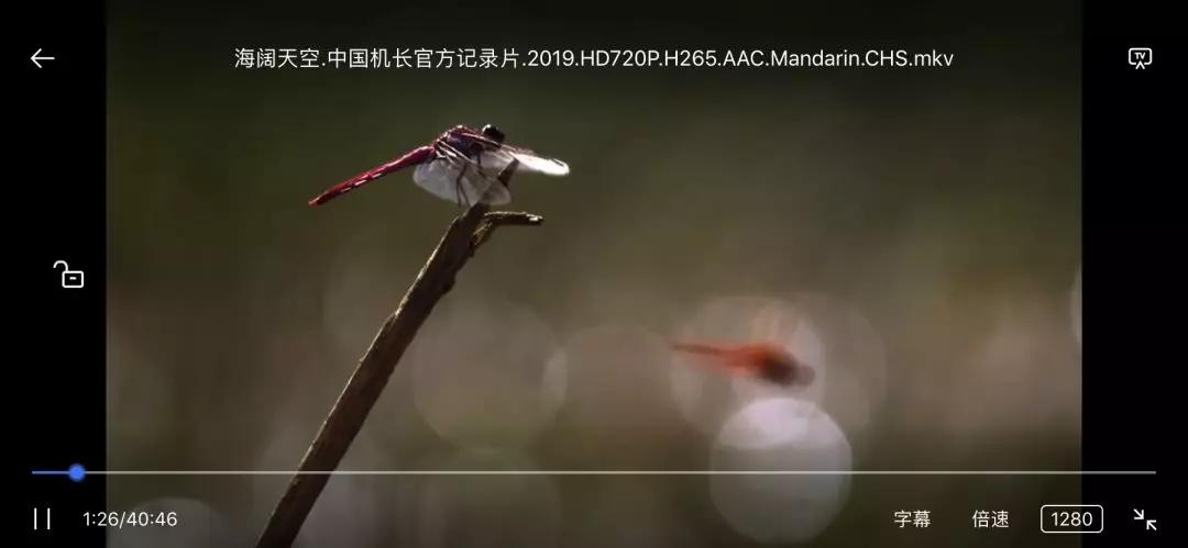 用什么软件下载资源好_袋鼠下载app下载_袋鼠下载磁力搜索功能