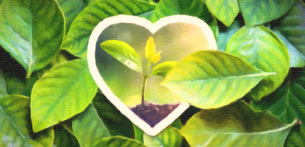 如何从word发送文件?