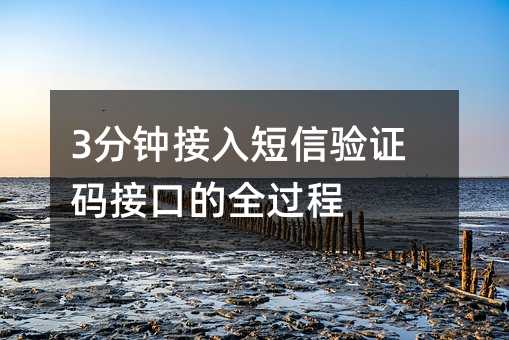 3分钟接入短信验证码接口的全过程