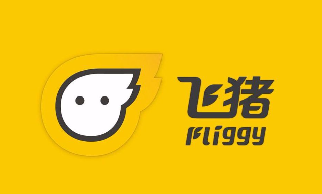飞猪机票退改签政策_飞猪旅游服务_飞猪网是什么网站